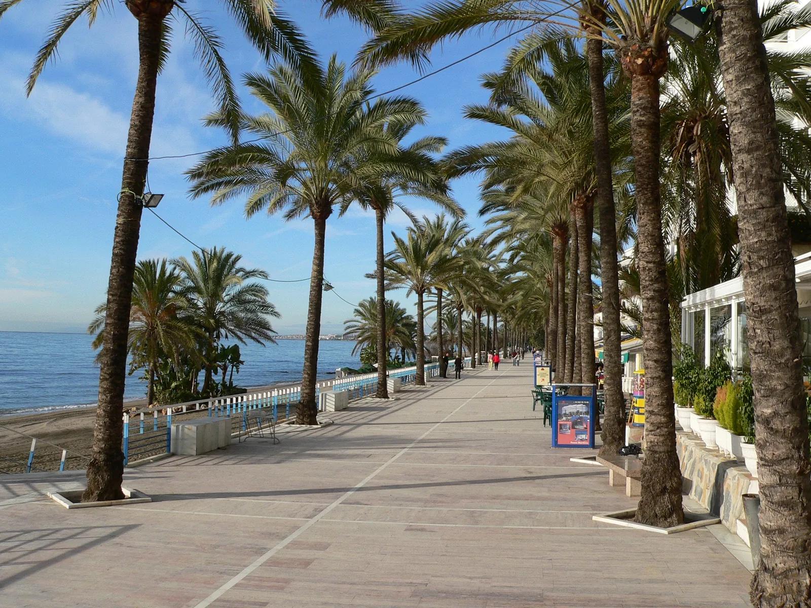 Palm-lined promenade beside the Mediterranean in Marbella