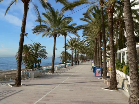 Palm-lined promenade beside the Mediterranean in Marbella